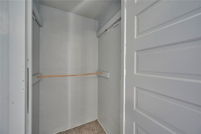 walk in closet with carpet floors