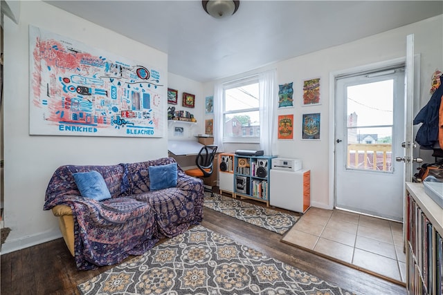 living room featuring hardwood / wood-style floors