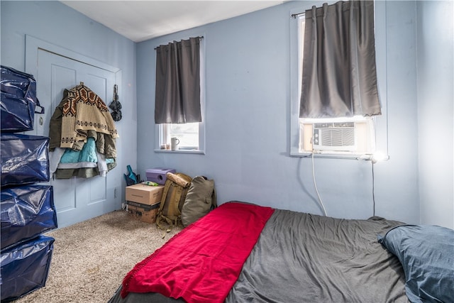 bedroom with carpet flooring