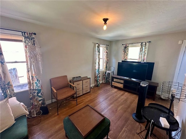 living room featuring hardwood / wood-style floors