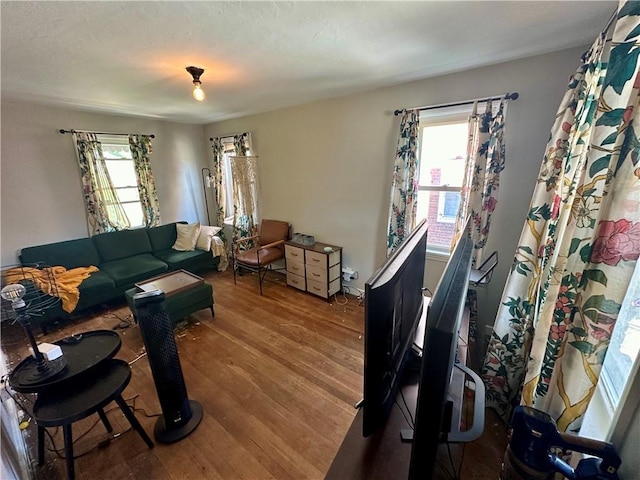 living room featuring wood-type flooring