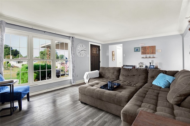 living room with ornamental molding and wood-type flooring