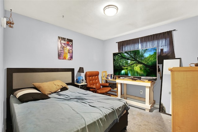 bedroom with carpet flooring