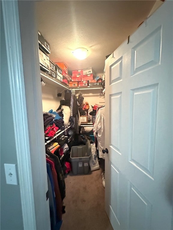 walk in closet with carpet flooring