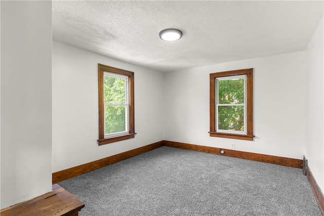 carpeted spare room with a textured ceiling and a healthy amount of sunlight