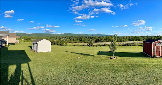 view of yard featuring a mountain view and a storage unit