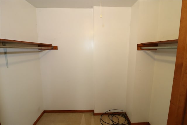 walk in closet featuring carpet floors