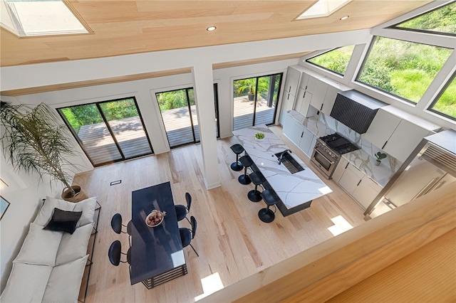 living room with lofted ceiling with skylight and light wood-type flooring