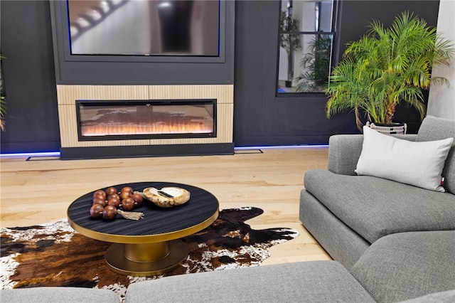 living area with wood-type flooring