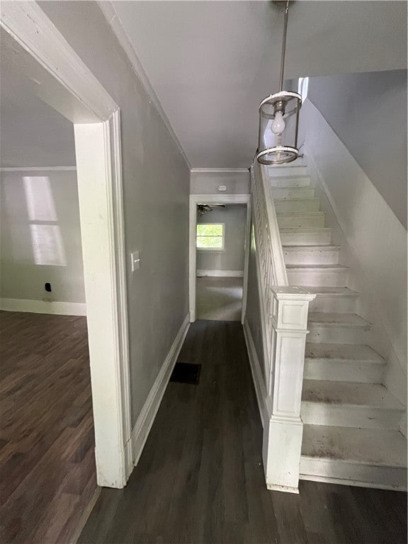 stairway featuring dark wood-type flooring and crown molding