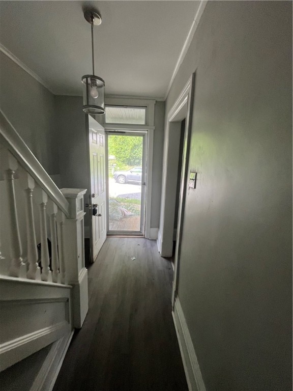 corridor with crown molding and hardwood / wood-style floors