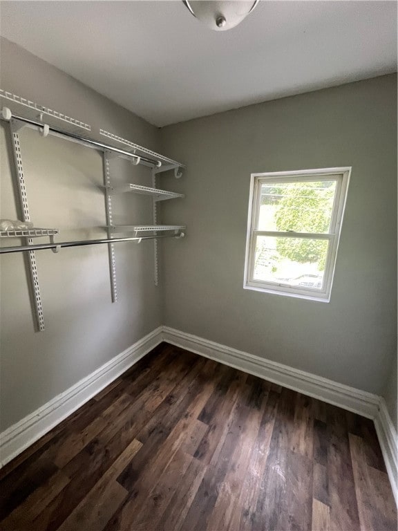 walk in closet with wood-type flooring