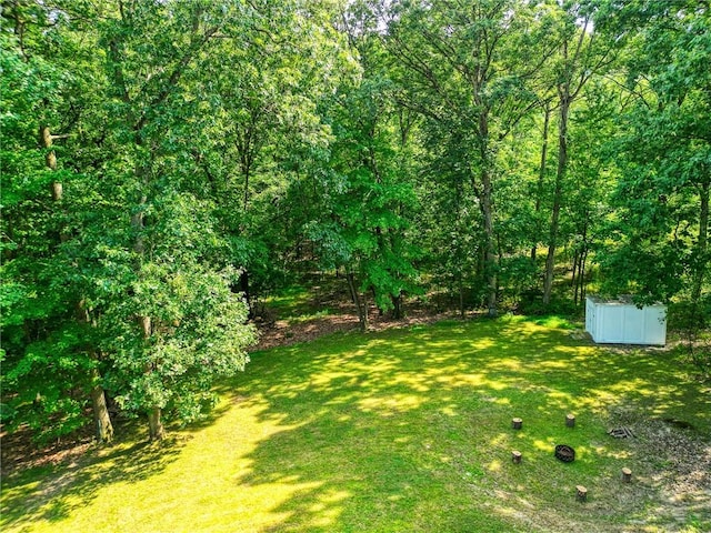 view of yard with a storage unit