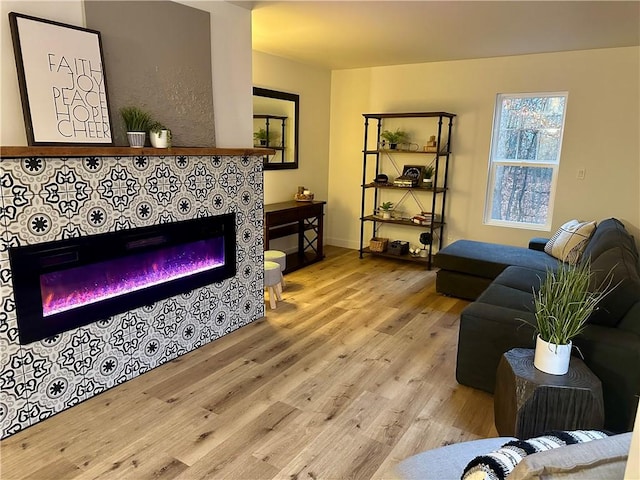 living room featuring a fireplace and light hardwood / wood-style flooring