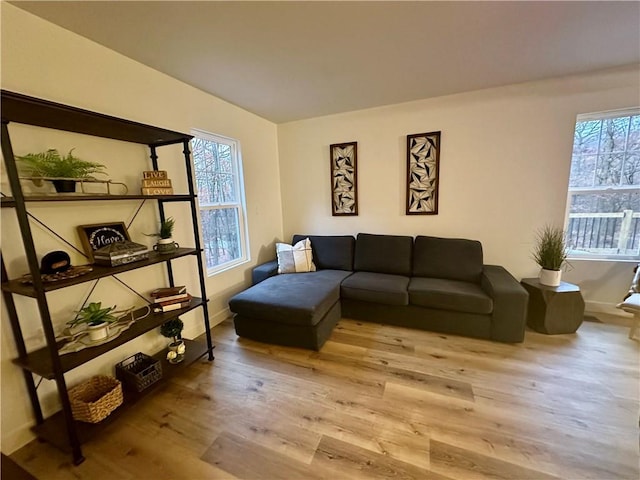 living room with light hardwood / wood-style flooring