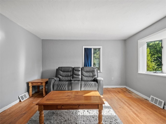 living room with hardwood / wood-style floors