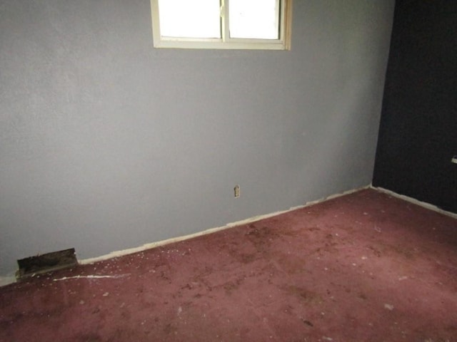 basement featuring carpet flooring