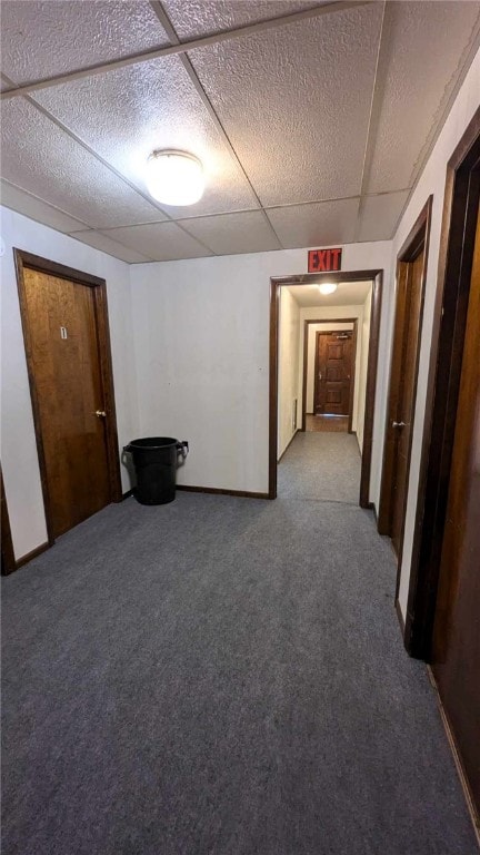 interior space featuring carpet flooring and a drop ceiling