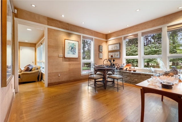 dining room with light hardwood / wood-style flooring and plenty of natural light