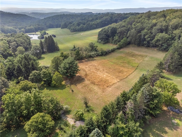 birds eye view of property with a mountain view