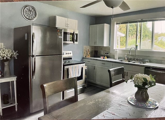 kitchen featuring tasteful backsplash, dark wood-type flooring, ceiling fan, appliances with stainless steel finishes, and sink