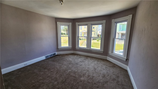 carpeted empty room with a healthy amount of sunlight