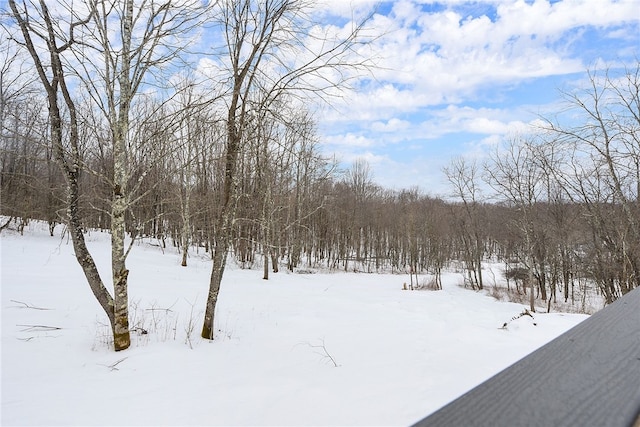 view of yard covered in snow