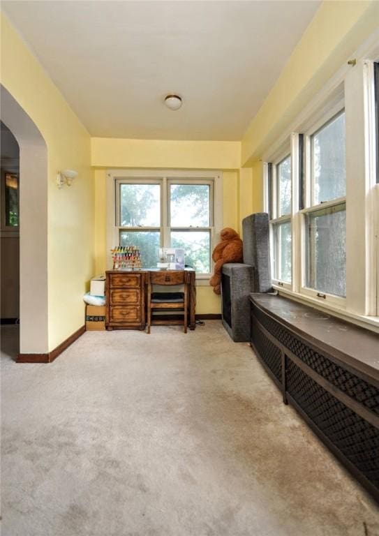 misc room with plenty of natural light, radiator, and light carpet