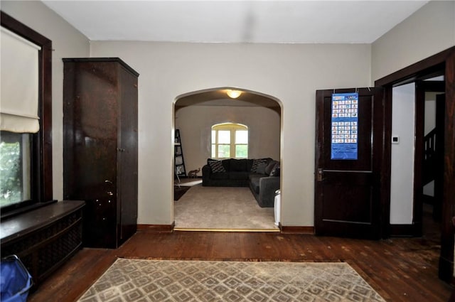 entrance foyer featuring dark wood-type flooring