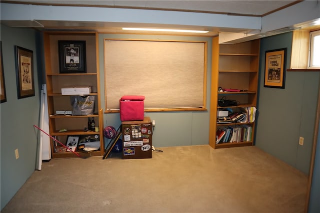 interior space with carpet