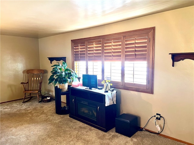 office featuring a wealth of natural light and light carpet