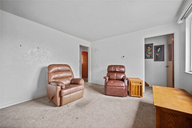 living area featuring carpet floors