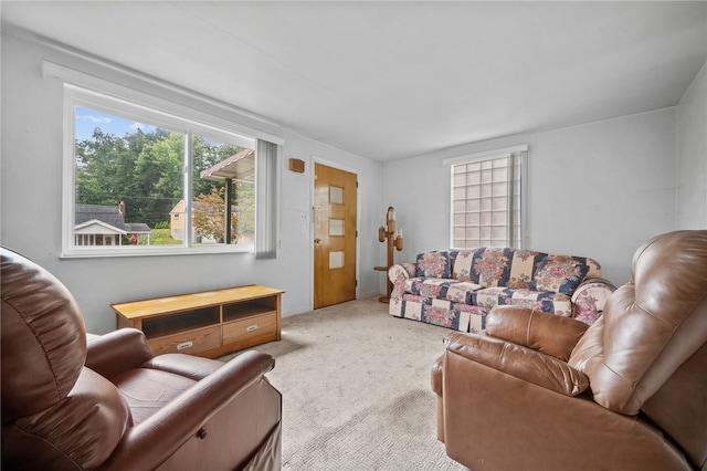 view of carpeted living room