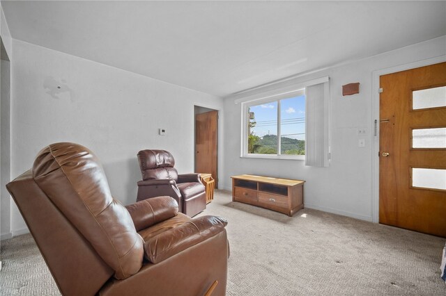 living room with light carpet