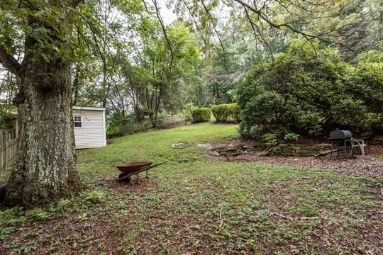 view of yard with a shed