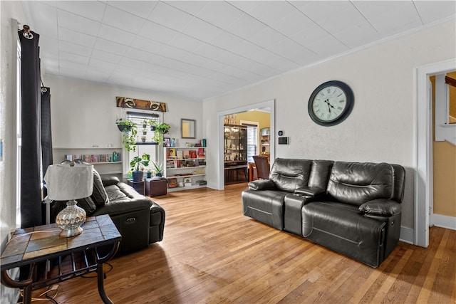 living room featuring hardwood / wood-style floors