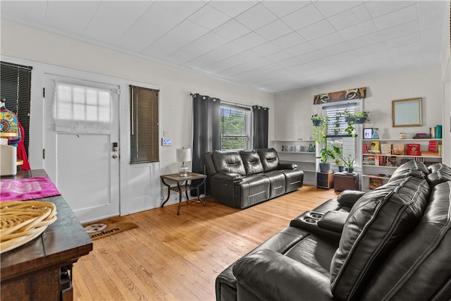 living room with light hardwood / wood-style flooring