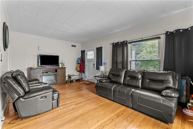 living room featuring a baseboard radiator, light hardwood / wood-style flooring, and crown molding