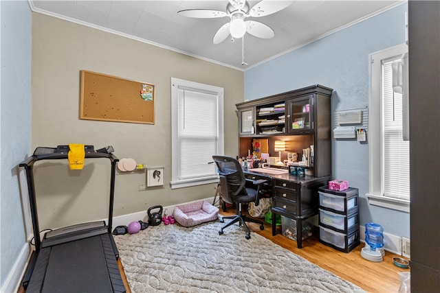 home office with hardwood / wood-style flooring, a healthy amount of sunlight, crown molding, and ceiling fan