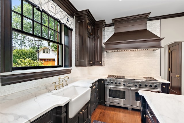 kitchen with backsplash, a wealth of natural light, and range with two ovens