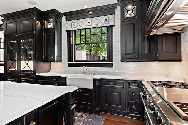 kitchen featuring tasteful backsplash, premium range hood, light stone counters, dark hardwood / wood-style floors, and sink