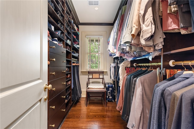 walk in closet featuring dark wood-type flooring