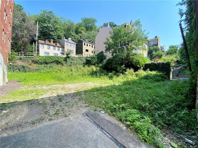 812 Concord St, East Allegheny, PA 15212 - view of yard