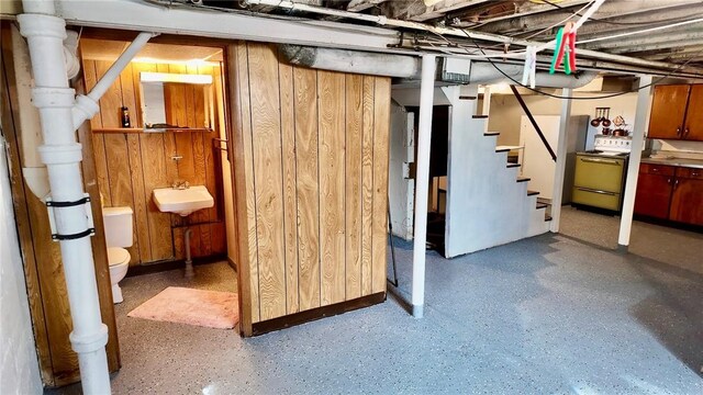 basement featuring sink and wooden walls