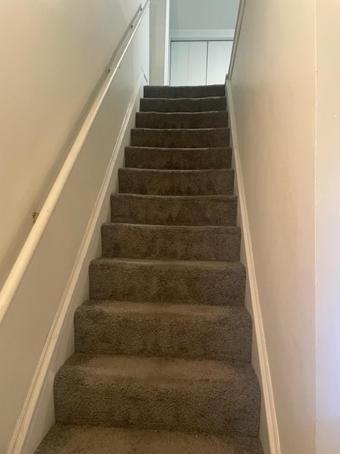 staircase with carpet floors