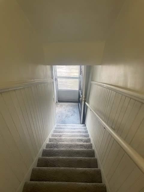 staircase featuring carpet floors