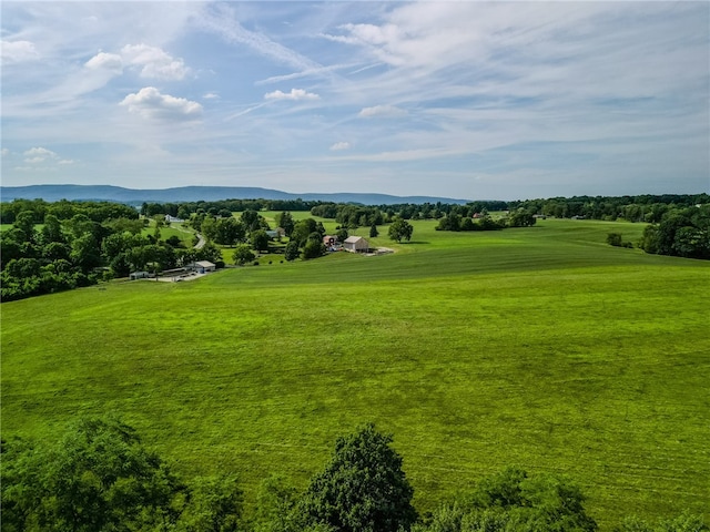 view of property's community featuring a lawn