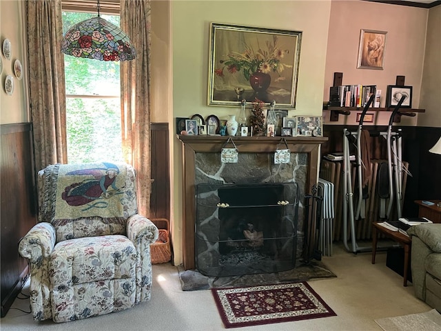 340 Mine Hill Rd, German Twp, PA 15410 - living area with a stone fireplace and carpet