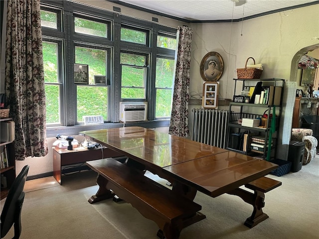 carpeted dining space featuring plenty of natural light, radiator, crown molding, and a textured ceiling