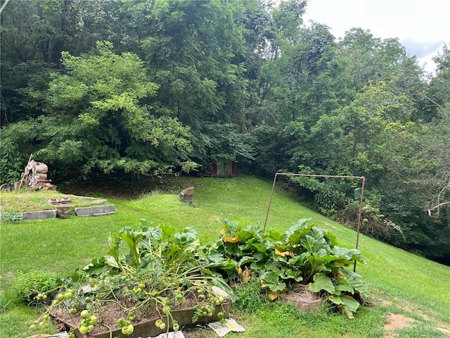 340 Mine Hill Rd, German Twp, PA 15410 - view of yard with a garden and a forest view